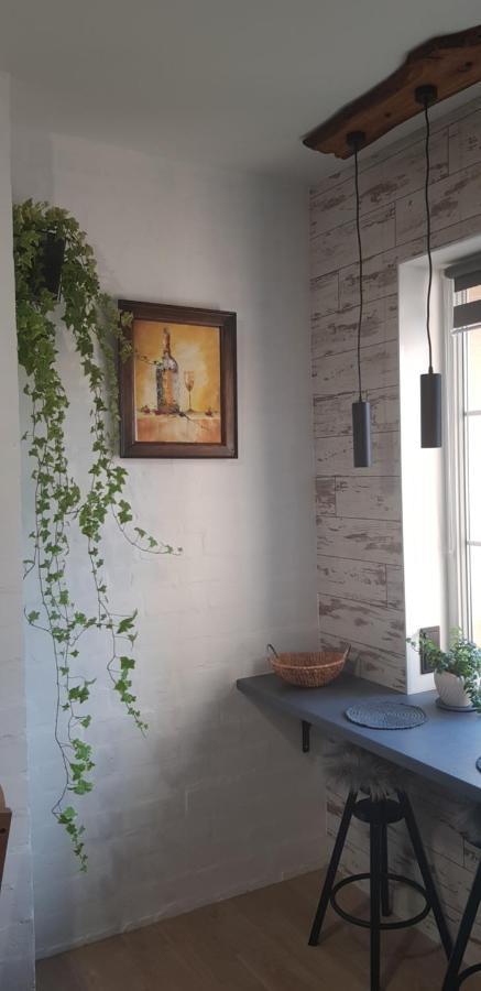 Dailidziu Apartamentai Клайпеда Экстерьер фото